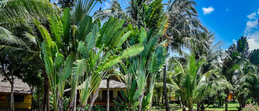 Nam Chau Boutique Resort – Mui Ne Passion