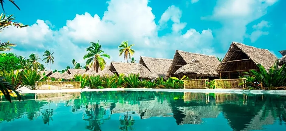 New Jambo Bungalows