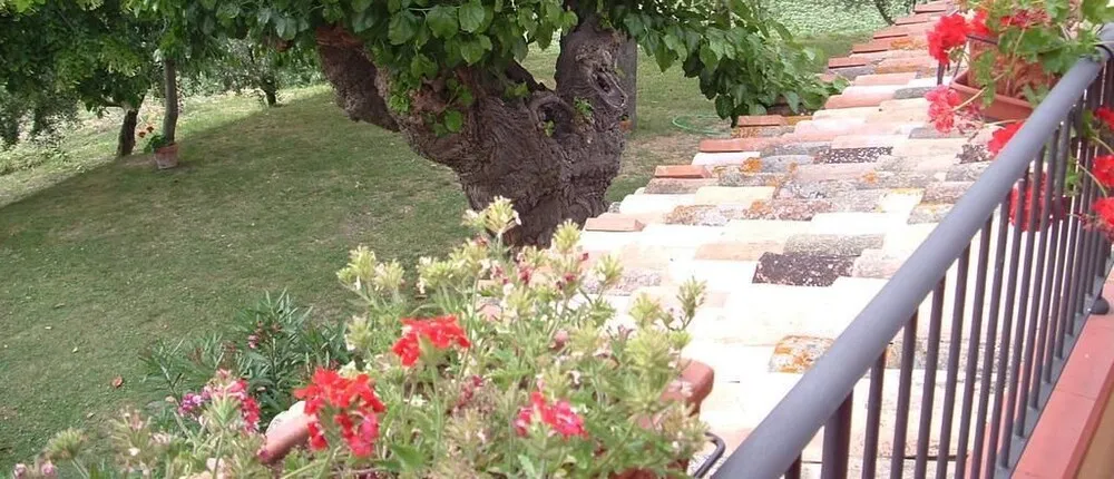 Agriturismo il Bacucco