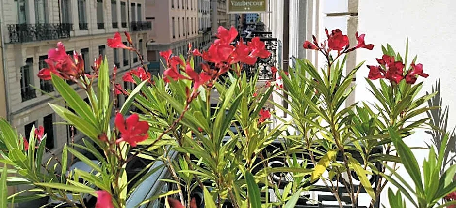 Hôtel Vaubecour - Centre Lyon Ainay - Perrache