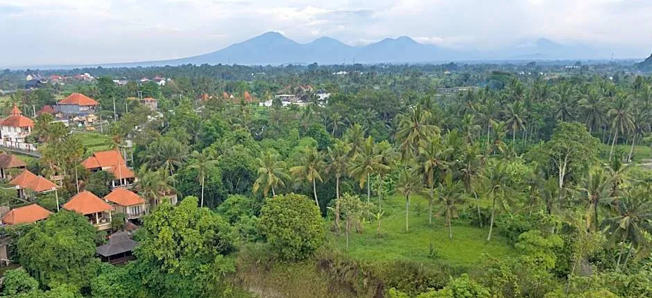 Griya Shanti Villas & Spa