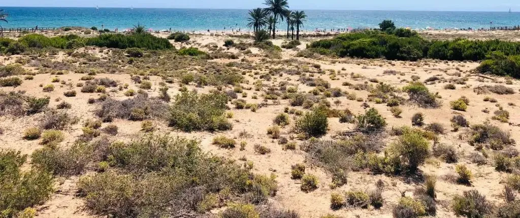 Mediterranean House (Beach & Relax)