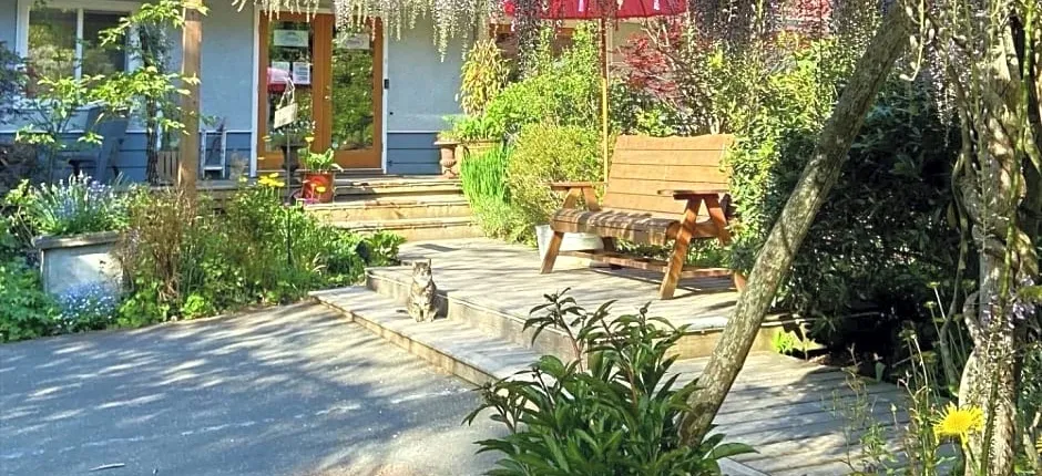 Wisteria Guest House