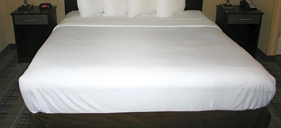 MainStay Suites Jacksonville near Camp Lejeune