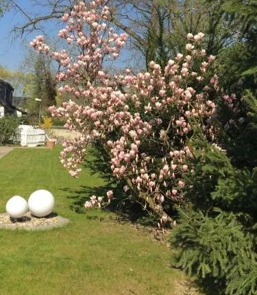 Hotel Havel Lodge Berlin