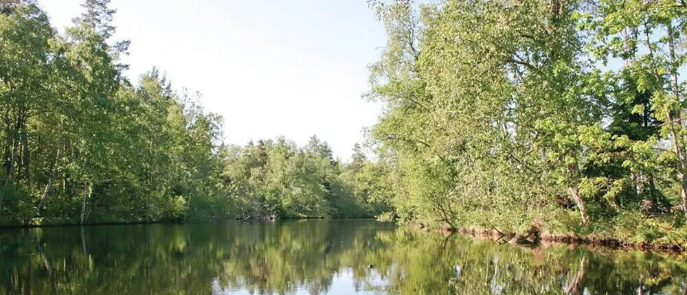 Awesome Home in Annerstad With 3 Bedrooms, Sauna and Wifi