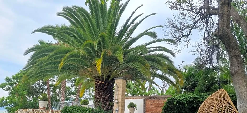 Hotel La Ribereña