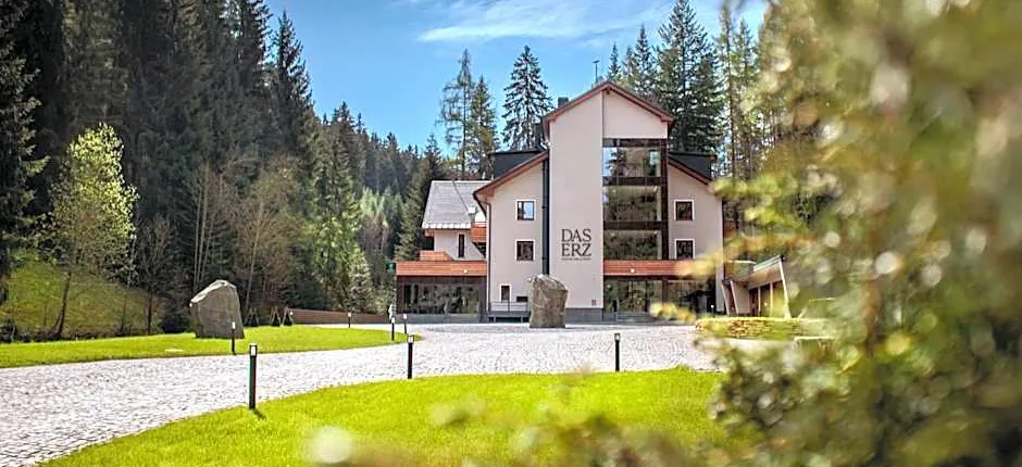 DAS ERZ Medical Spa & Hotel