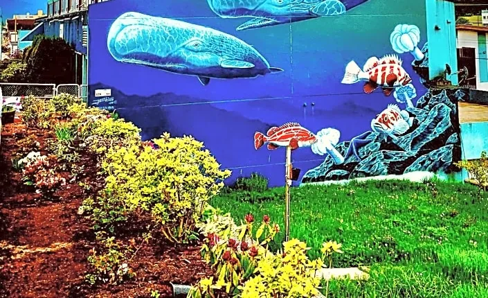 Moby Dick Inn