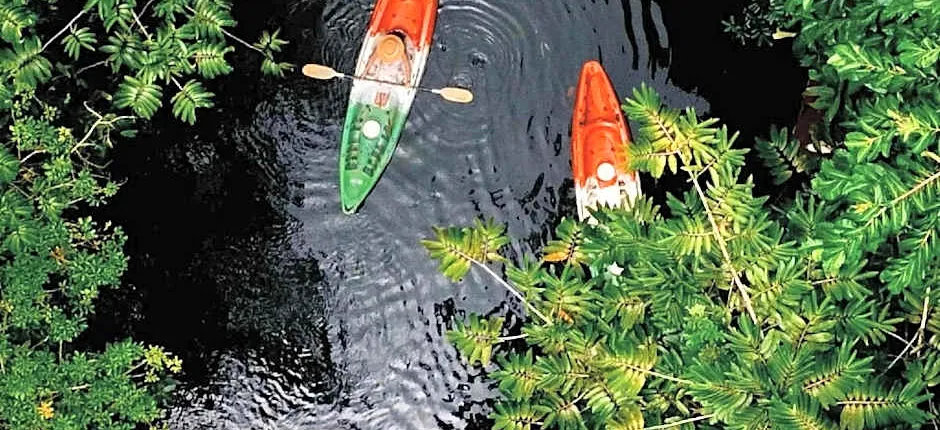 Blu Monkey Pooltara Krabi