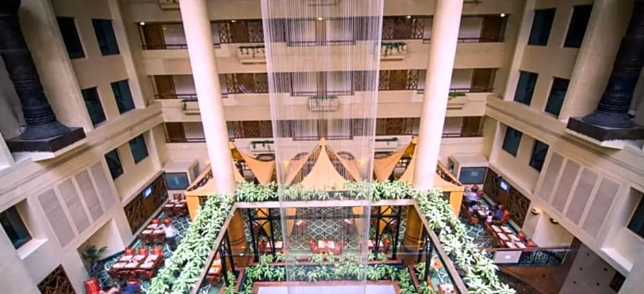 The Orchid