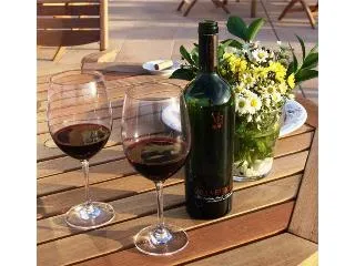 Hotel & Spa do Vinho, Autograph Collection