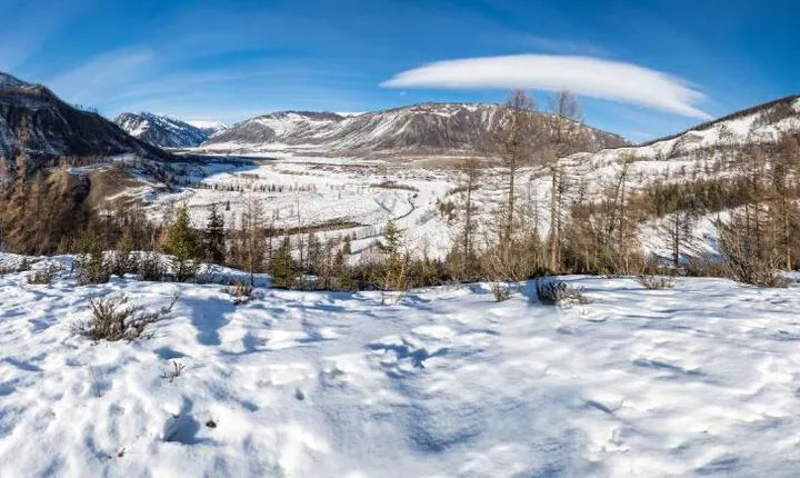 OMEO Suites Big Bear