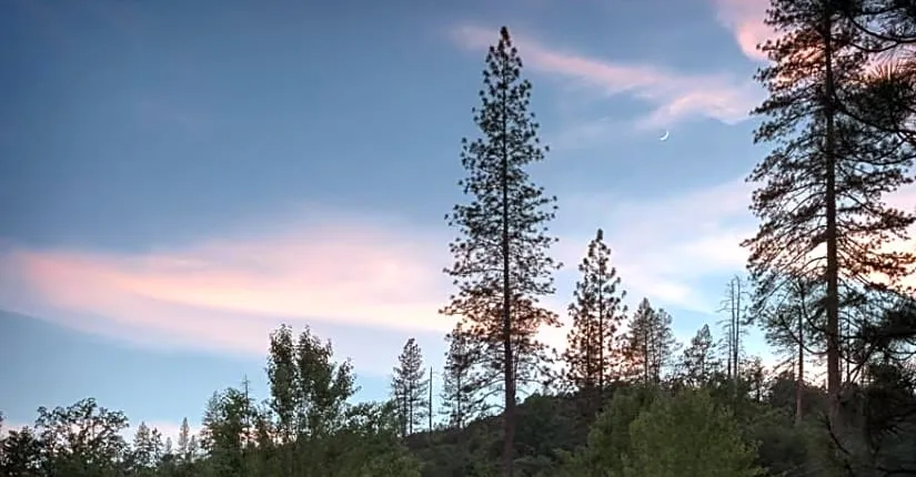 AutoCamp Yosemite