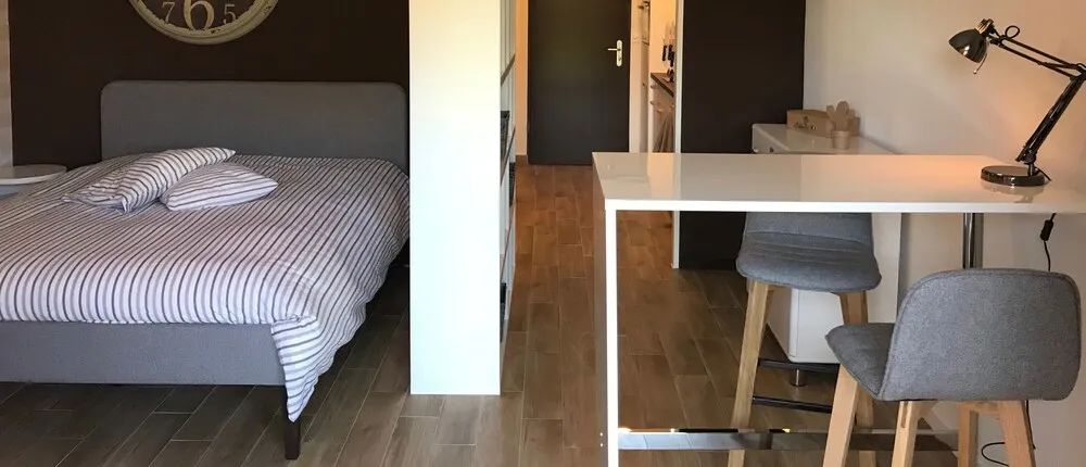 Large Studio Near Epfl And Lausanne City Center