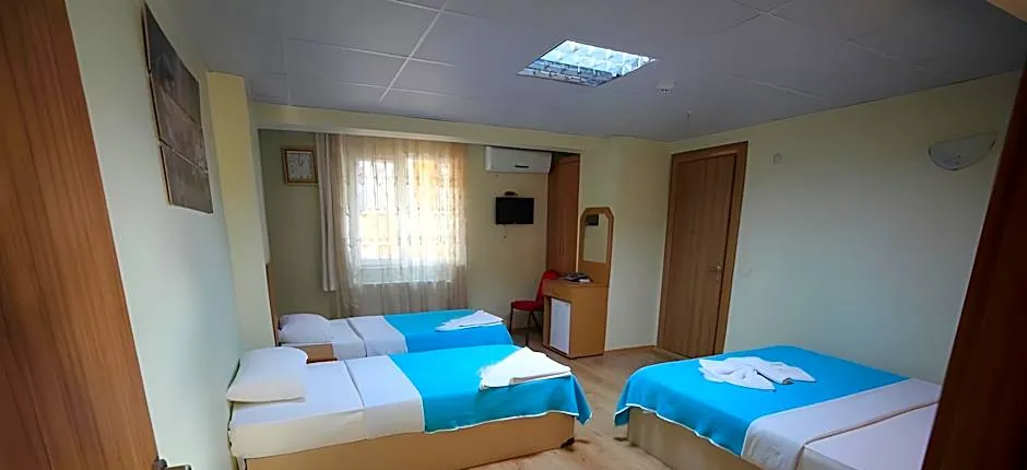 Istanbul Dedem Hotel 1