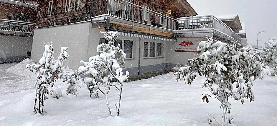 Swiss Chalet Holidays Ringgenberg