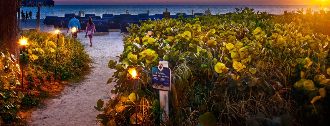 RumFish Beach Resort by TradeWinds
