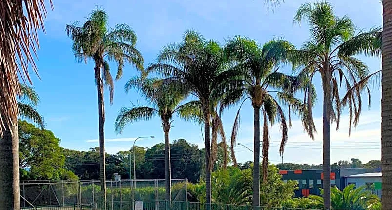 Shellharbour Resort and Conference Centre