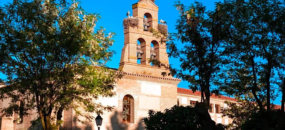 Castilla Termal Balneario de Olmedo