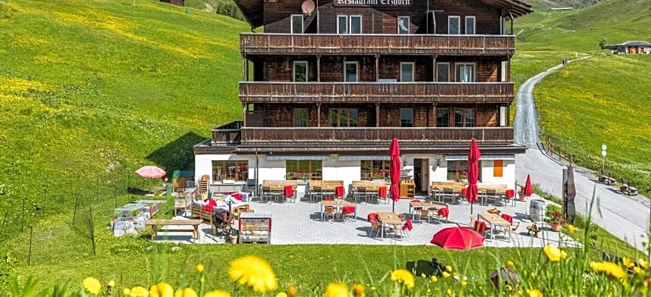 Erzhorn