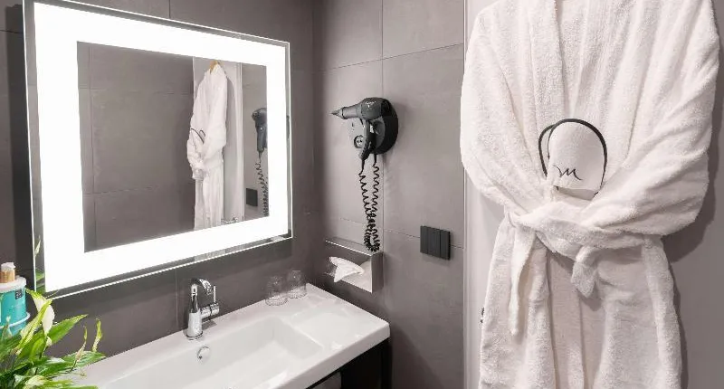 MERCURE ANGERS LAC DE MAINE