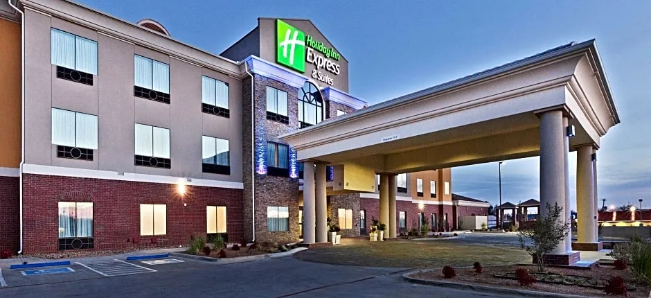 Holiday Inn Express Hotel & Suites Brownfield By IHG