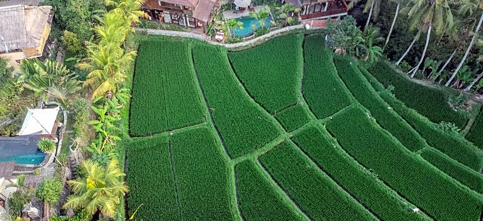 Gusde Tranquil Villas by EPS