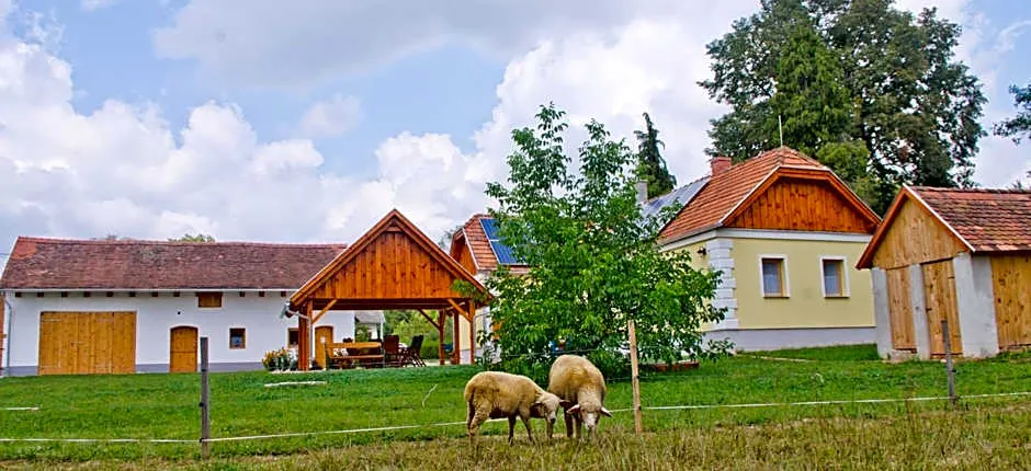 Harmatcsepp-Vendégház