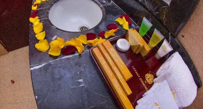 Tiffany Diamond Hotels Ltd – Indira Gandhi