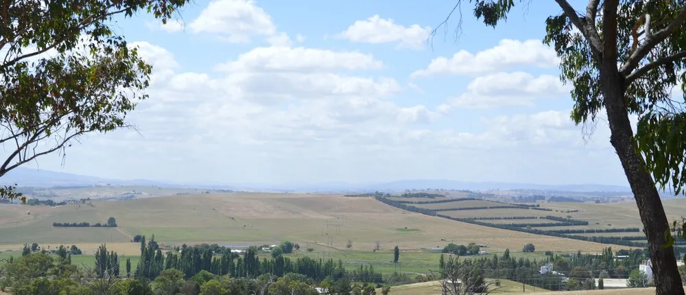 Bathurst Goldfields