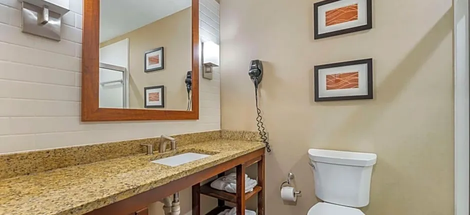 Comfort Inn & Suites Triadelphia
