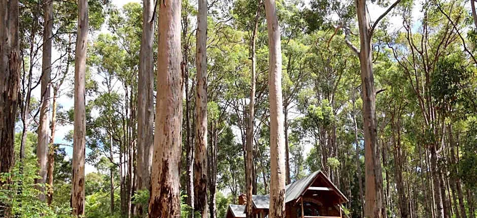 Beedelup House Cottages