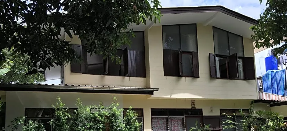 Many Trees Hostel