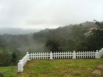 Lilies Munnar