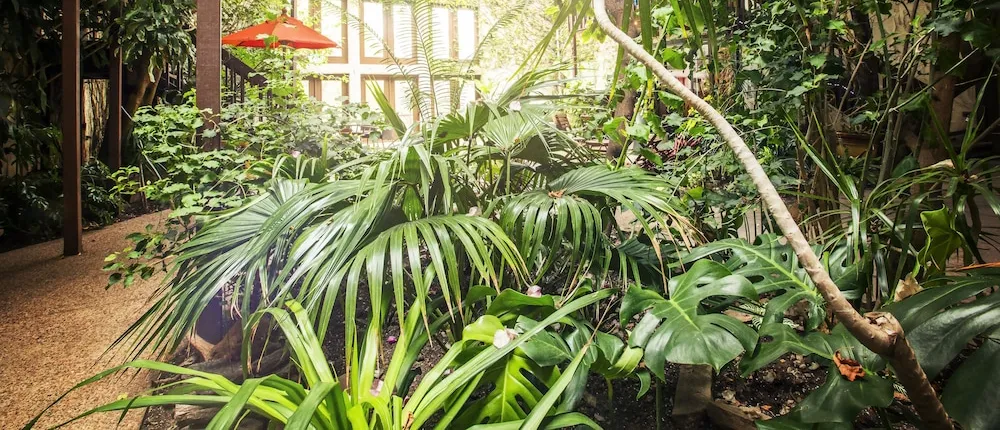 Solarium International Hostel and Inn