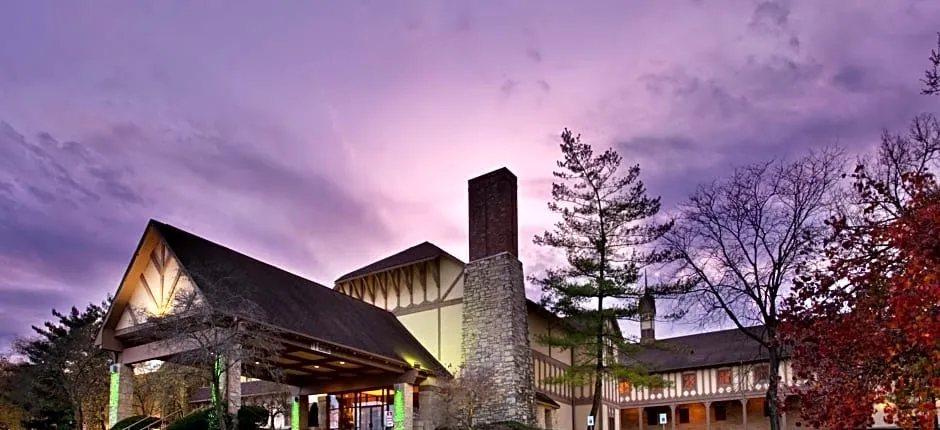 Holiday Inn At Six Flags Saint Louis by IHG
