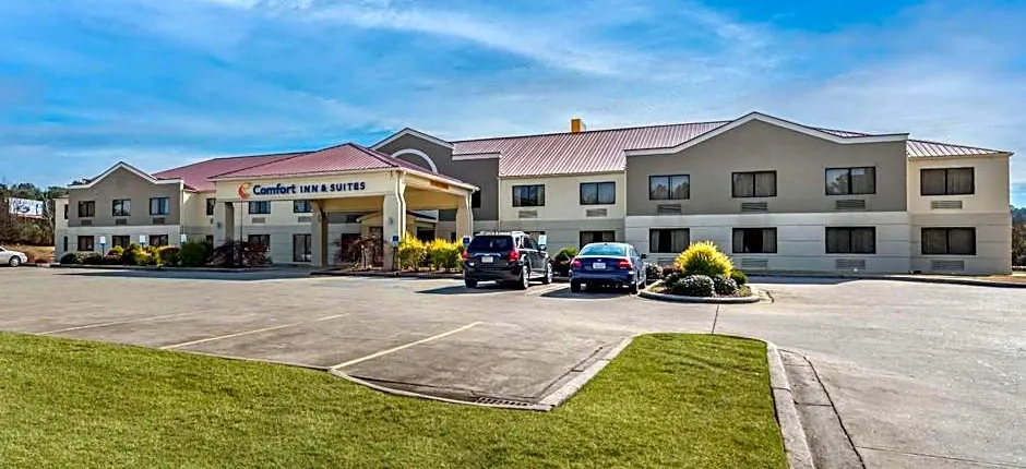 Comfort Inn & Suites Leeds I-20