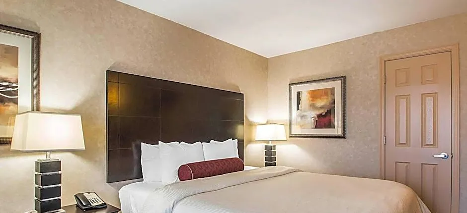 Clarion Inn Elmhurst - Oak Brook Near I-88, I-290, I-294