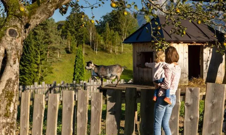 Ferienwohnung Roislerlehen