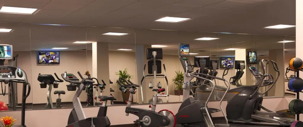 MILLENNIUM HOTEL MINNEAPOLIS