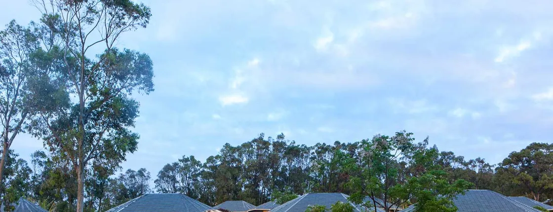 Altiplanico Rapa Nui