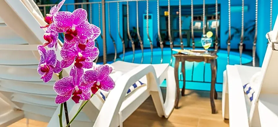 Chateau Montagne Hotel Troyan