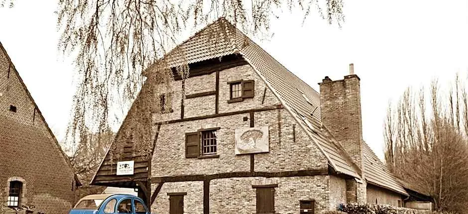 Gastenlogies Blauwe Schaap