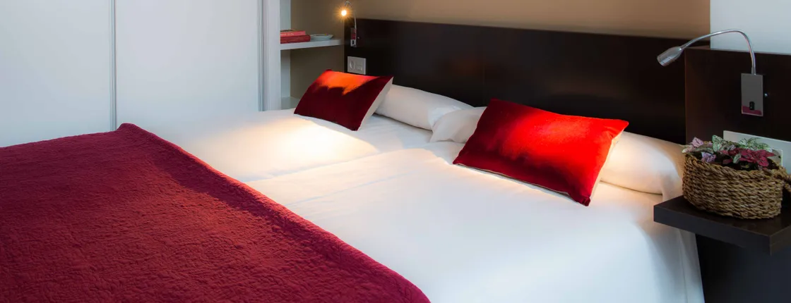 APARTAMENTOS PUENTE DEL CARBON