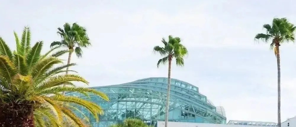 Amazing House relax Near Raymond Stadium