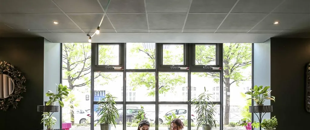 Ibis Paris Bastille Opéra 11Ème