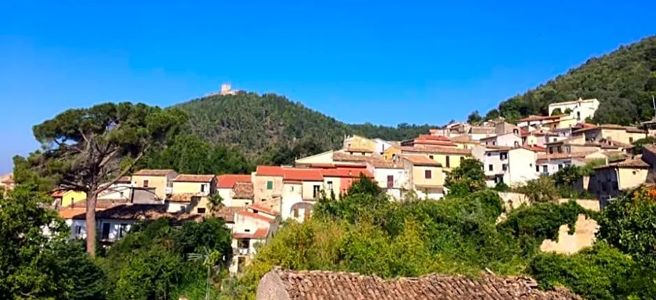 Alba Matesina