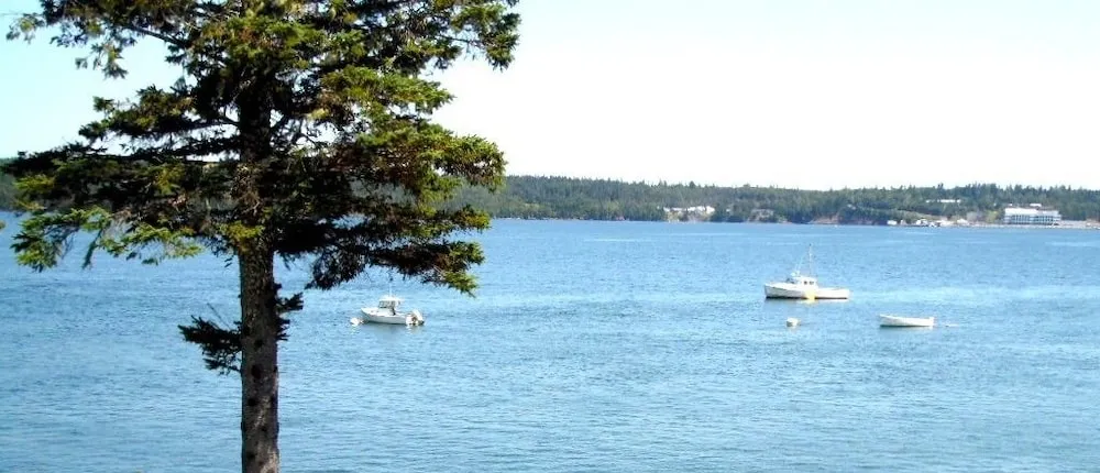 Redclyffe Shore Motor Inn