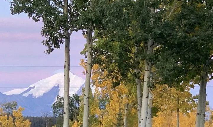 Sawinglogzz Log Cabin